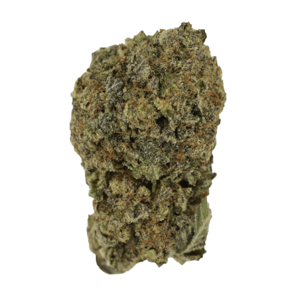 Blue Cookies | Green Society Canada