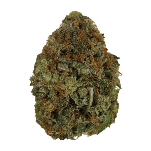 Orange Romulan | Green Society Canada