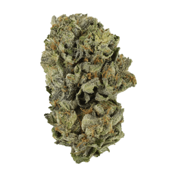 Cerebro Haze | Green Society Canada