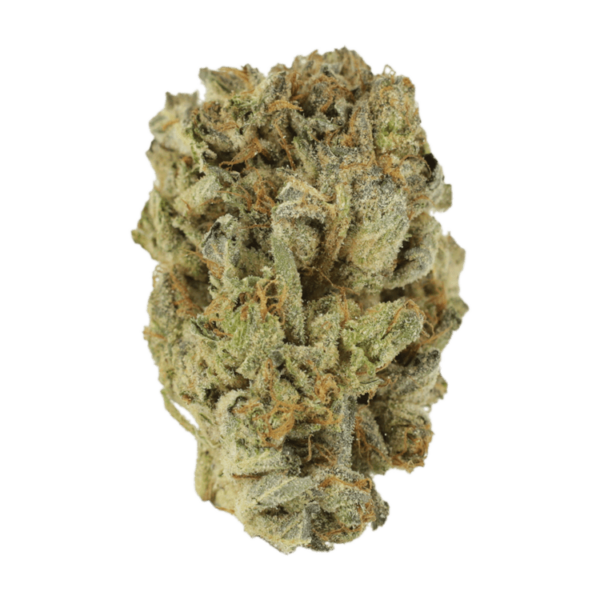 Mimosa Punch | Green Society Canada