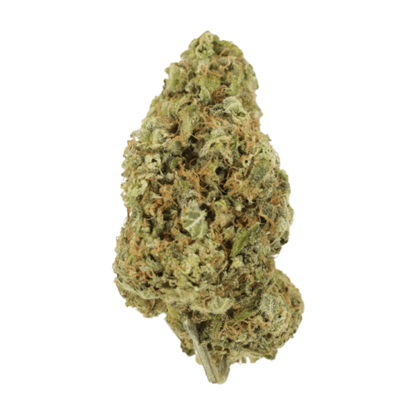 Sour Jack | Green Society Canada