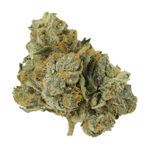 Mango Cream | Green Society Canada