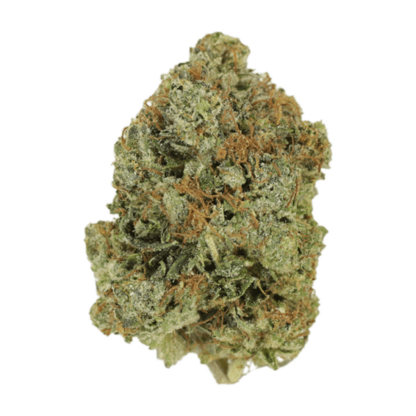 Watermelon Gelato | Green Society Canada