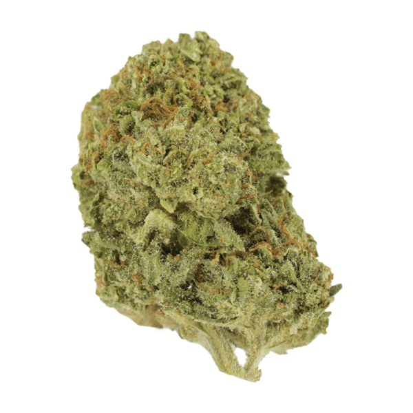 Mango Cream | Green Society Canada