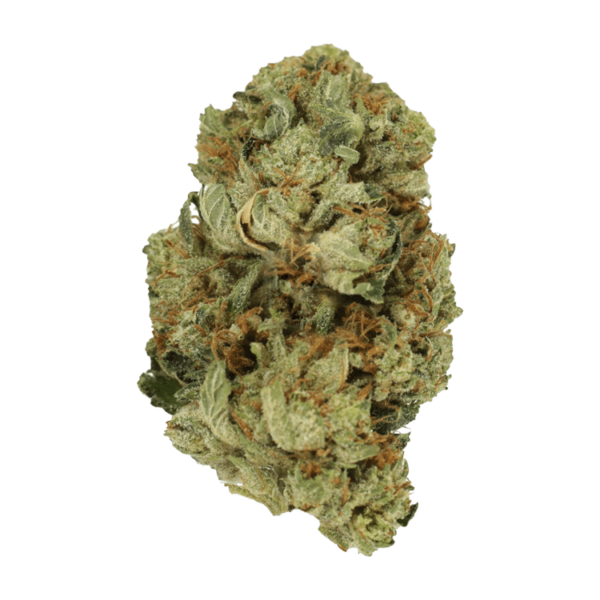 Pink Starburst | Green Society Canada