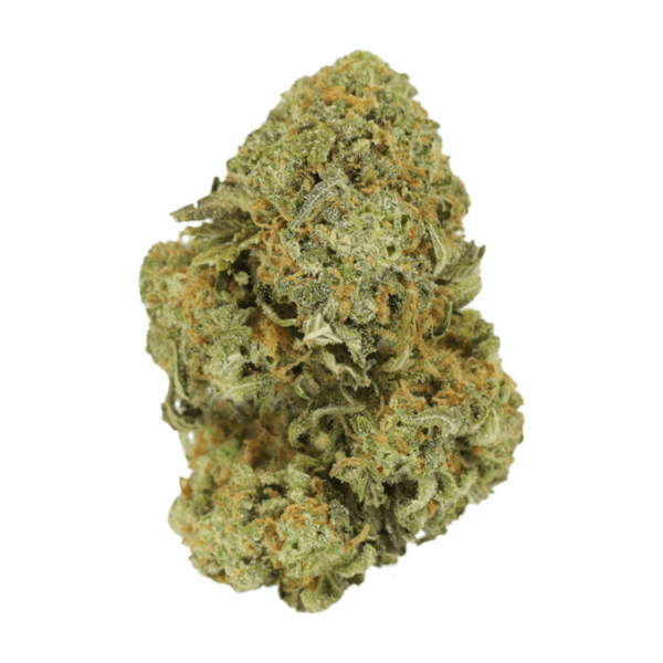 Watermelon Gelato | Green Society Canada