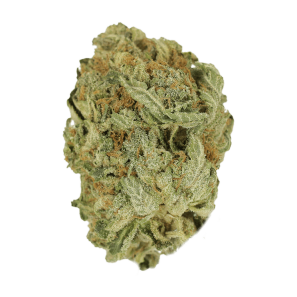 Ghost Bubba | Green Society Canada