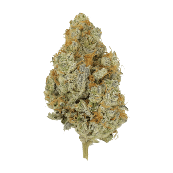 Peanut Butter Rockstar | Green Society Canada