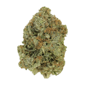 Jack Herer (popcorn) | Green Society Canada