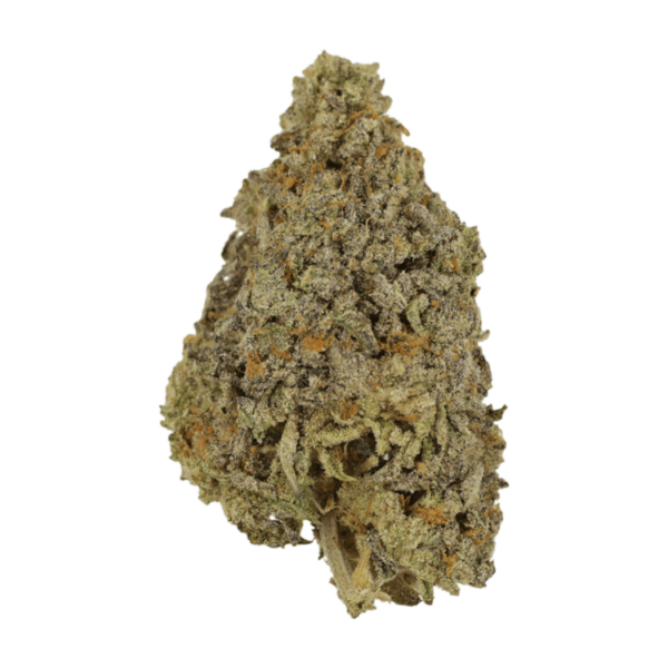 Frosty Gelato | Green Society Canada