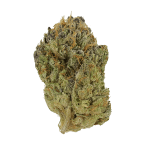 Blueberry Muffin | Green Society Canada