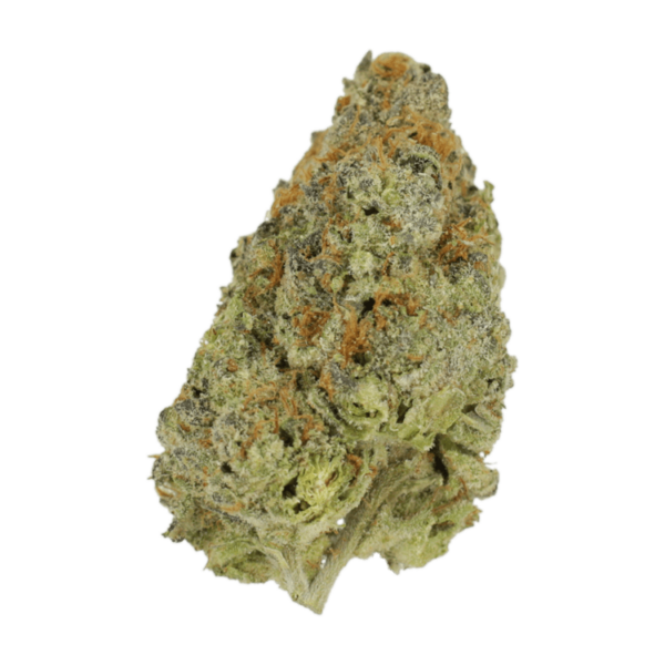 Lilac Diesel | Green Society Canada