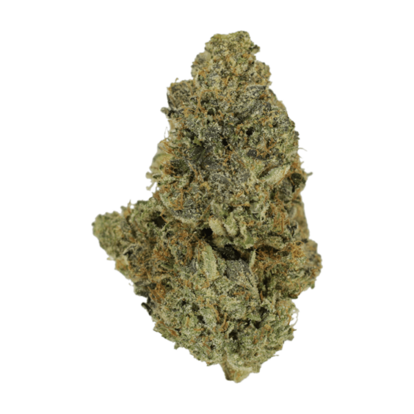 Purple Urkle | Green Society Canada