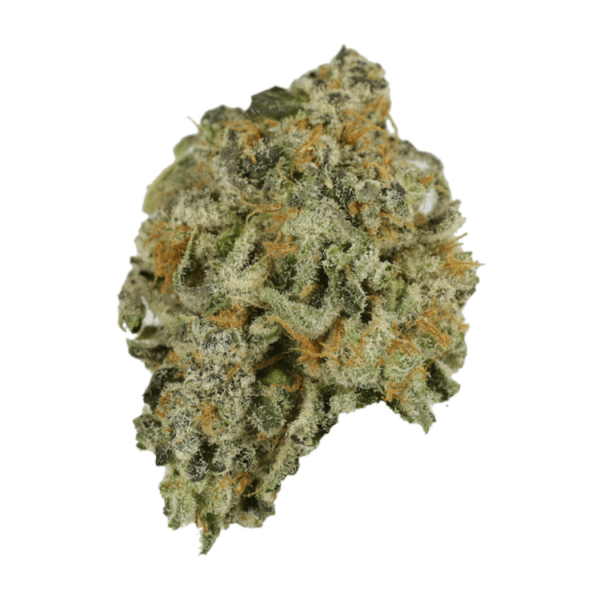 Alien Rock Candy | Green Society Canada