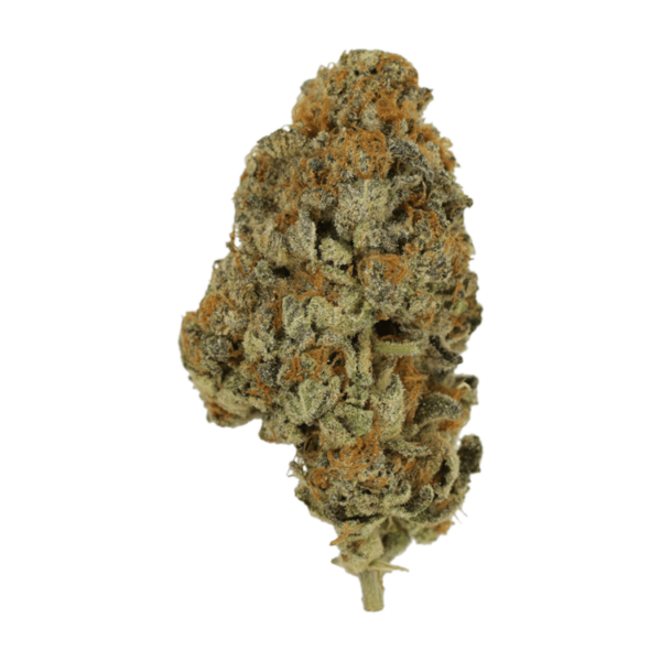 Key Lime Pie | Green Society Canada