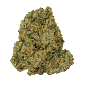 Purple Punch | Green Society Canada