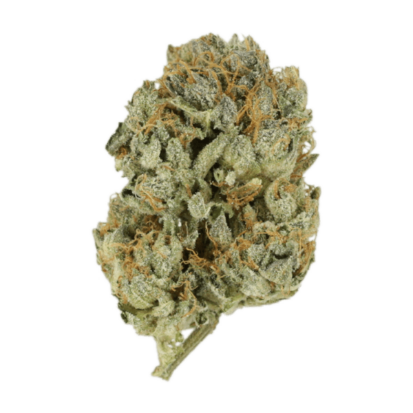 Kashmir Kush | Green Society Canada