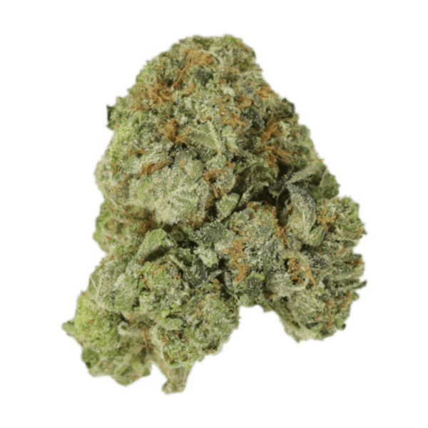 White Russian | Green Society Canada