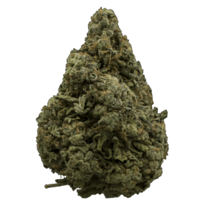 White Rhino | Green Society Canada