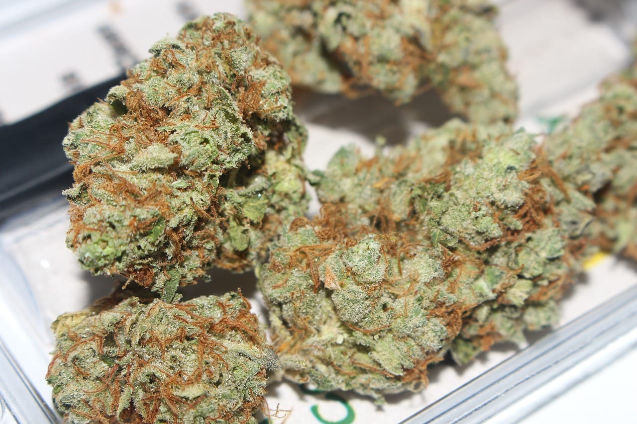 Hybrid cannabis Strains | Green Society Canada