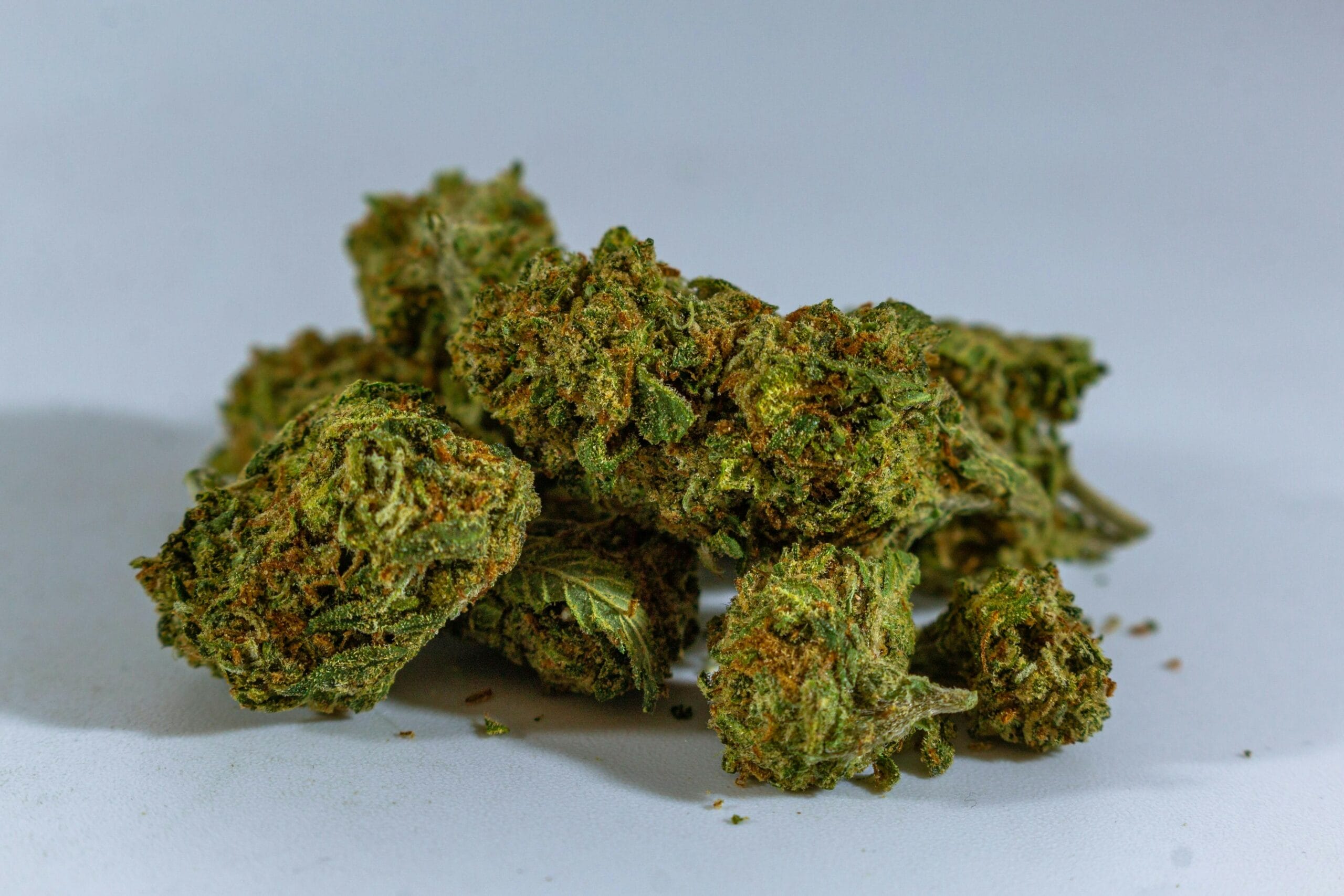 cheap-weed-online-canada | Green Society Canada