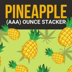 Pineapple 1 OZ Kit | Green Society Canada